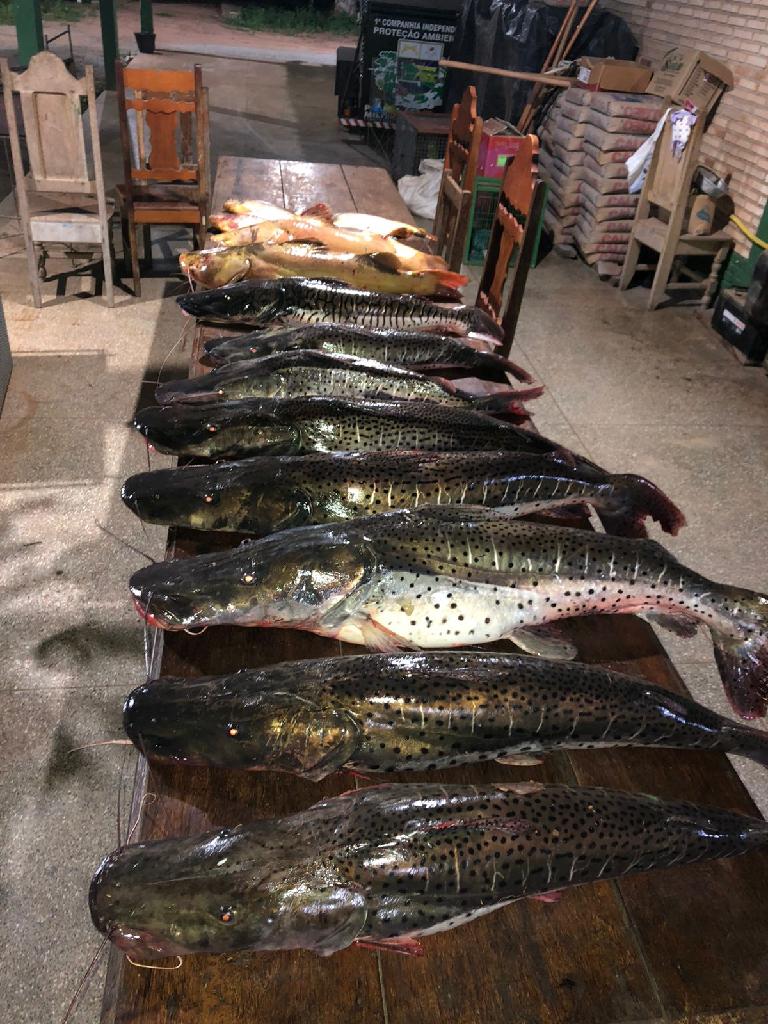 Pescadores abandonam barco e pulam em rio para fugir de fiscalização Foto51471