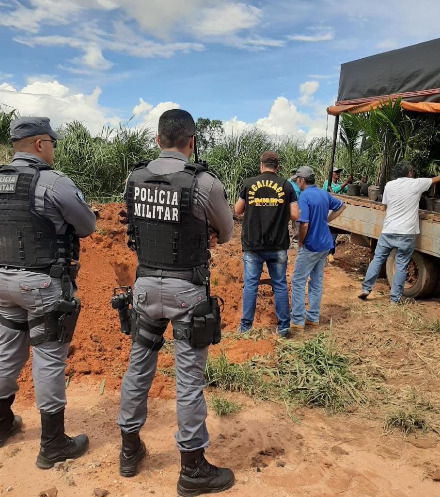 Indea alerta que venda ambulante de mudas e sementes ameaça a agricultura de MT Foto61458