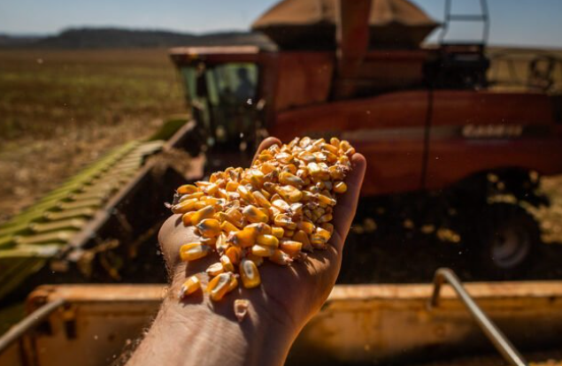 Projeto amplia acesso de produtores ao Programa de Venda em Balcão Foto22957