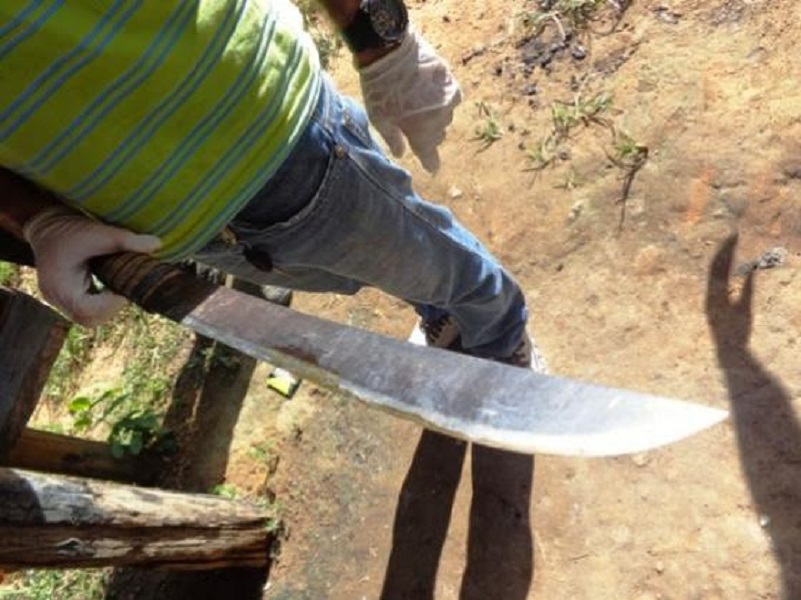 Homem morto a pauladas tem cabeça arrancada e exibida como troféu Foto21270