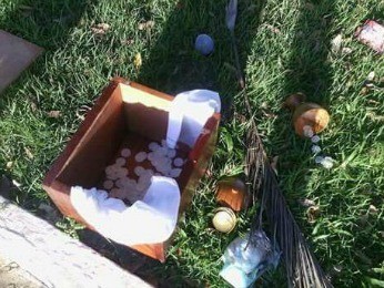 Criminosos furtam sacrário de igreja e jogam hóstias no lixo Foto83941