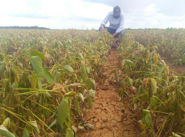Governo publica MP que destina R$ 1,2 bi a produtores afetados pela seca Foto94330