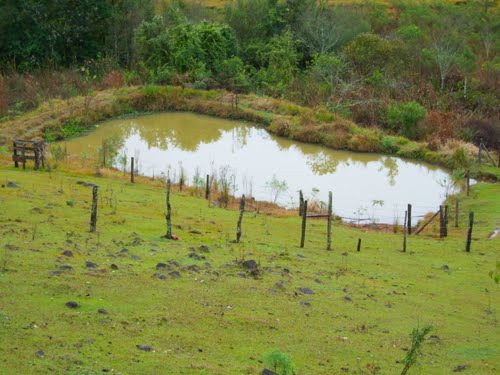 Morador de assentamento é vitima de ladrões e tem mais de 1.500 peixes furtados de açude Foto998