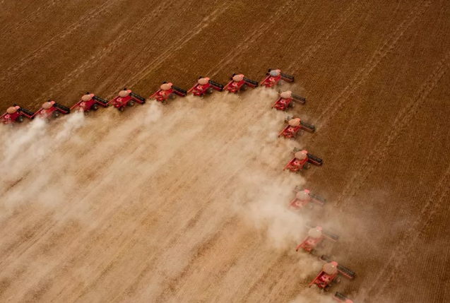 Exportação do país tem redução de 13%, mas preço das commodities garantem receita; MT é responsável por 25% Foto85437