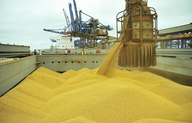 Agropecuária puxa exportações, mesmo com queda na produção de soja Foto4050