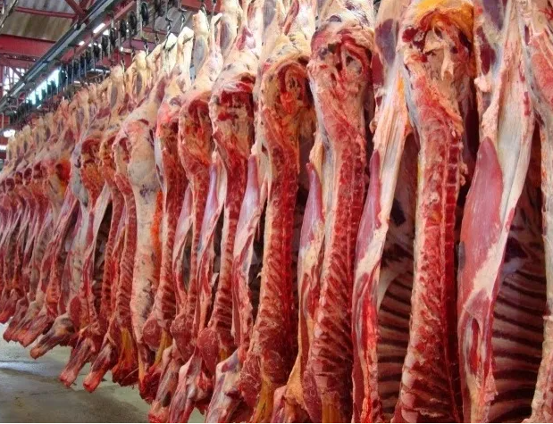 Queda na preço da carne reforça pressão sobre valores do boi gordo Foto62676