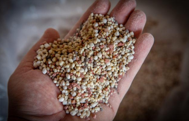 Importação de fertilizantes da Rússia continua crescendo Foto43961