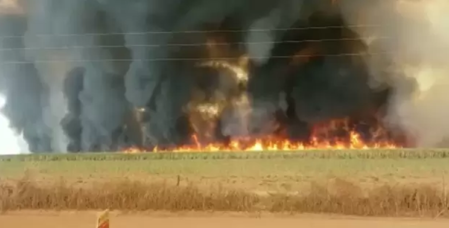 Alerta ao produtor rural para evitar incêndio na colheita do milho Foto33290