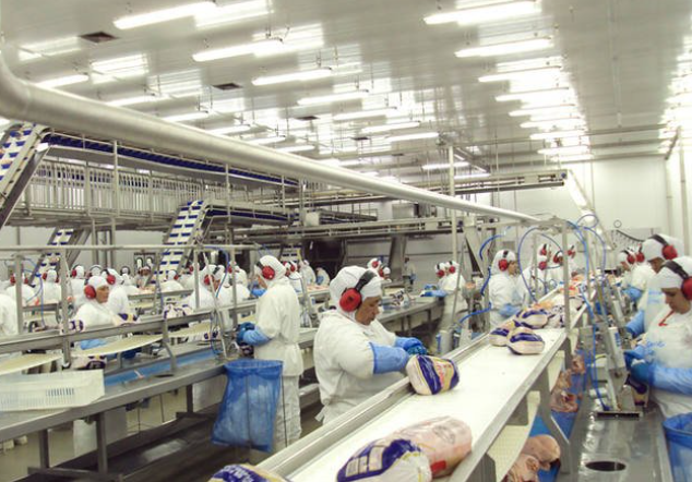 Brasil cria quase 278 mil empregos formais em junho Foto99886