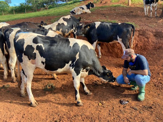 Mapa propõe grupo de trabalho para implementação do AgroResidência em parceria com o MEC Foto76409