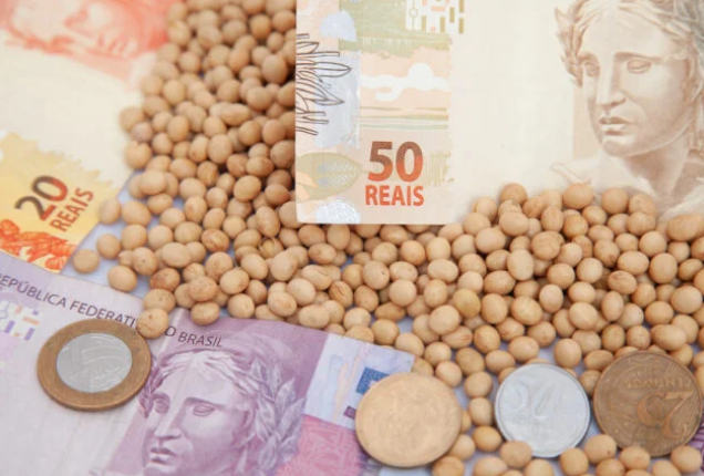 Preços da soja recuam no Brasil com baixa de Chicago e instabilidade do dólar Foto36005