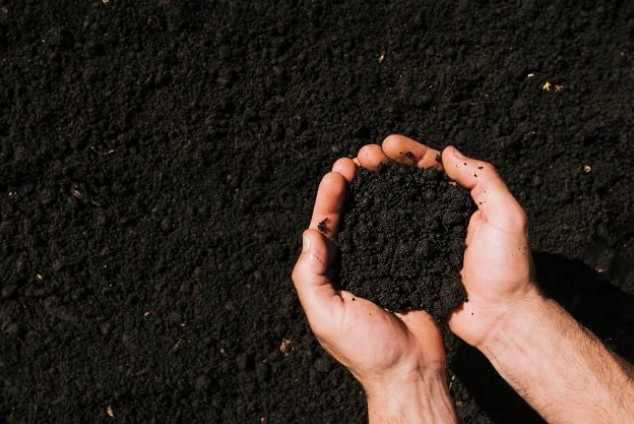 Fertilizantes estarão mais acessíveis em 2023, afirma especialista Foto55197