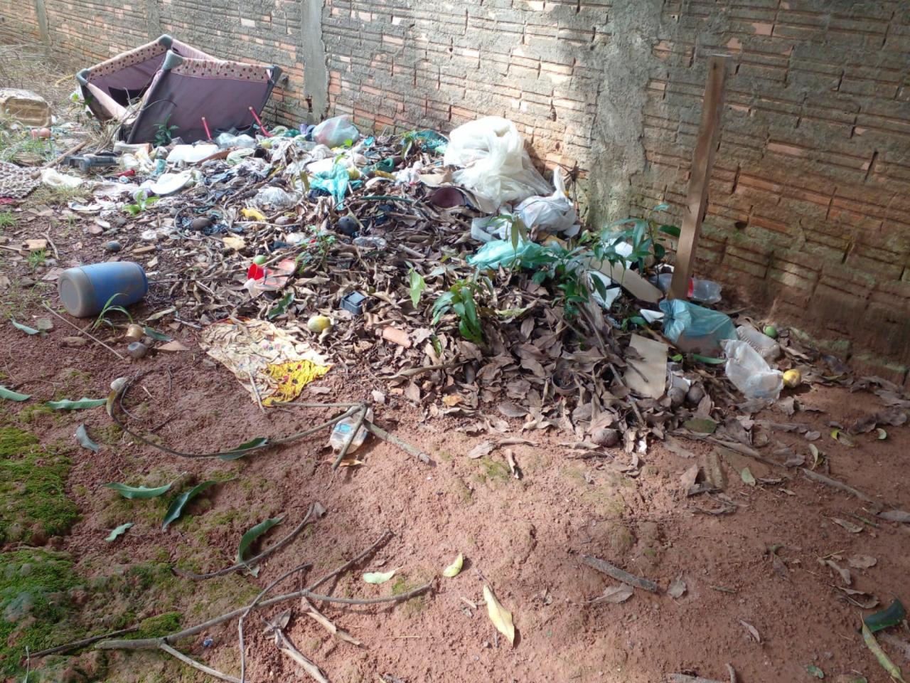 Sorriso registrou 2.296 casos de dengue em 2022 Foto9575