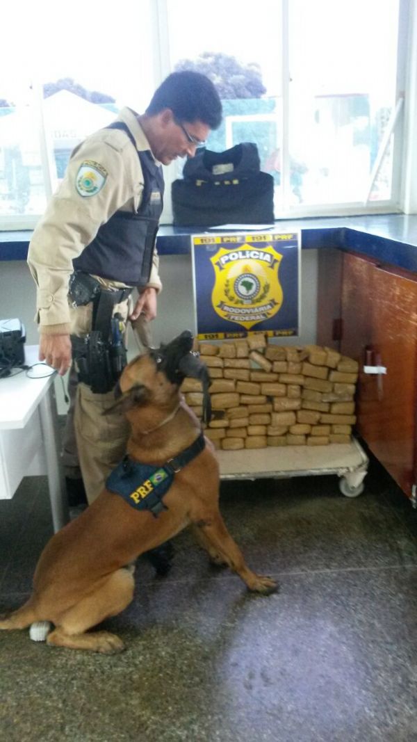 Cão rastreia droga e polícia apreende duas adolescentes com 77 pacotes de Dogas Foto87242