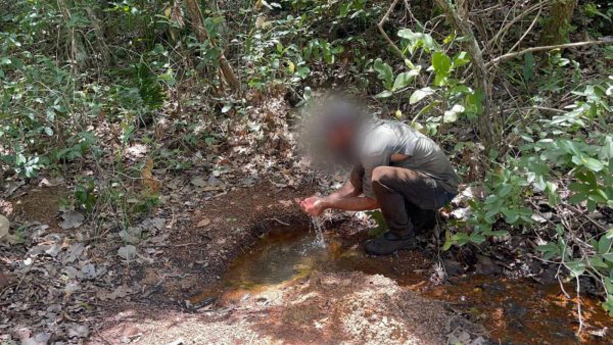 MP e PF resgatam 4 trabalhadores em condições análogas às de escravo Foto72034