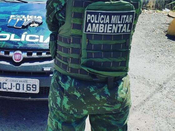 Justiça manda demitir PM que recebeu propina para autorizar desmate ilegal Foto40023
