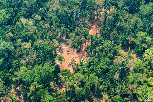 Terra Indígena com isolados tem maior área desmatada da Amazônia em MT Foto8102