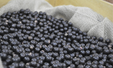 Brasil contabiliza a abertura de 20 mercados para produtos do agro Foto78657