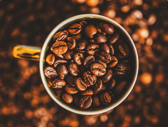 Conab projeta alta de 5,1% na produção de café em Mato Grosso Foto76600