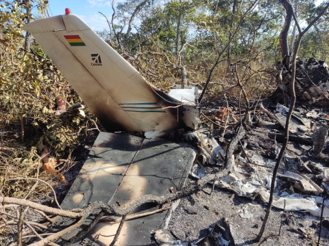 Avião cai em área de mata e piloto morre carbonizado Foto69944