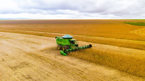 Como Brasil quer impulsionar a agricultura com o Plano Safra Foto52808