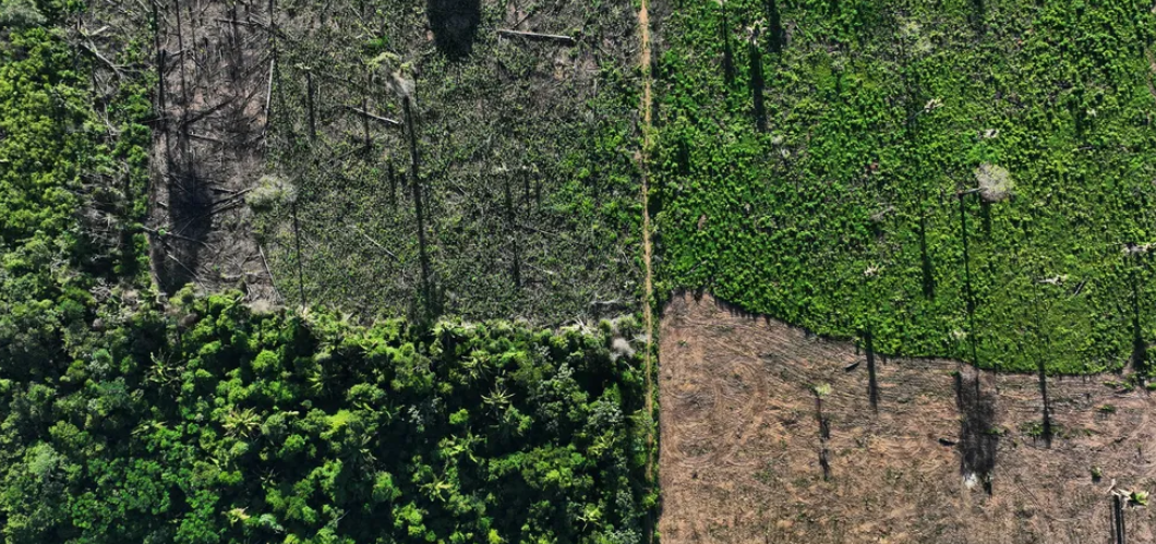 Alertas de desmatamento na Amazônia caem 66% em agosto Foto12227