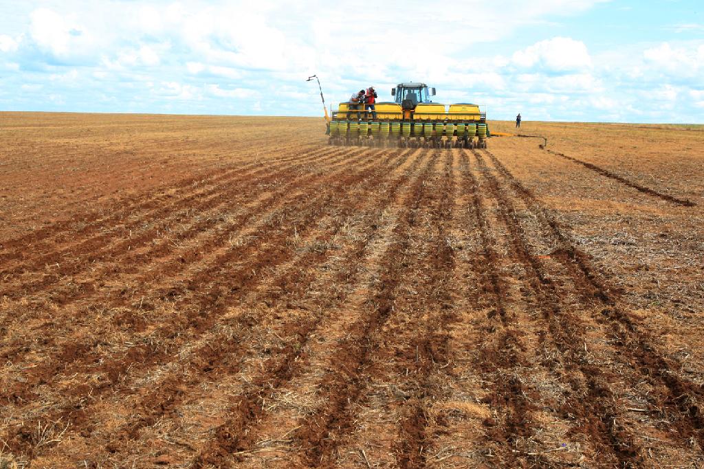Plantio de soja é lberado em todo estado de Mato Grosso Foto69442