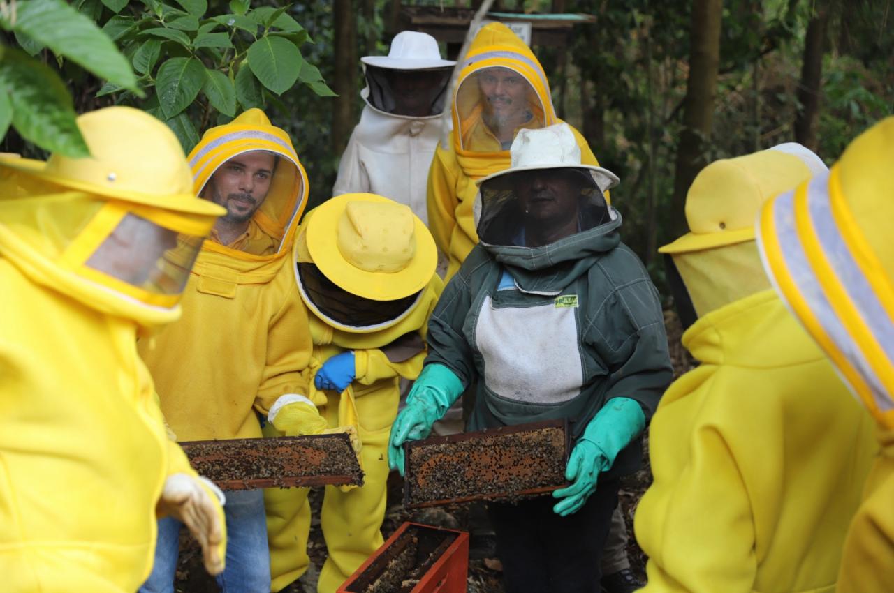 Apicultores de Sorriso aprendem técnicas de produção de abelhas rainhas Foto36532