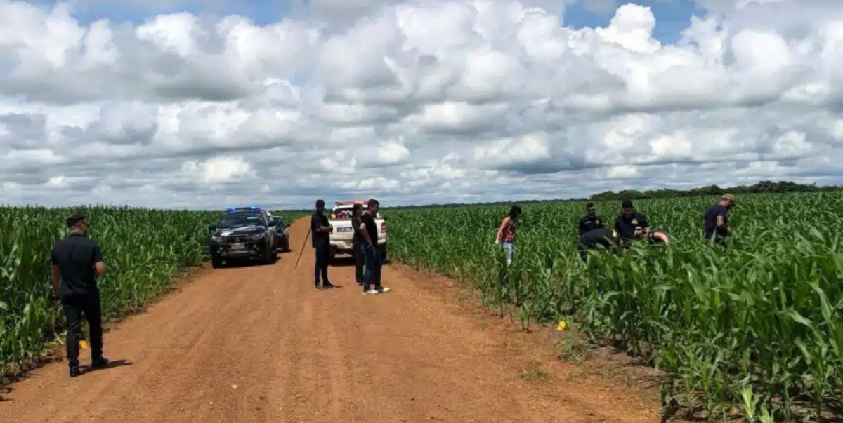 Corpo é encontrado em lavoura de milho em Lucas do Rio Verde Foto14139