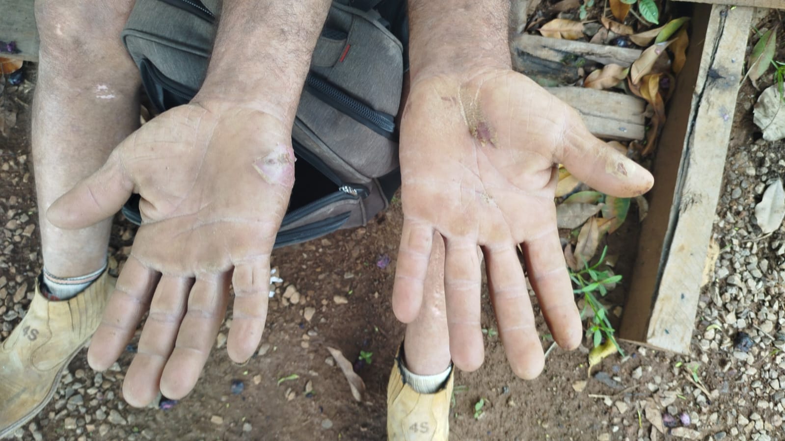 PM resgata duas pessoas e prende quatro por trabalho análogo à escravidão e crime ambiental Foto96666