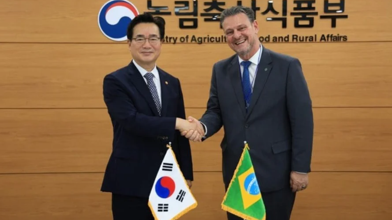 Coreia do Sul abre mercado para farinha e gordura de aves do Brasil Foto36681