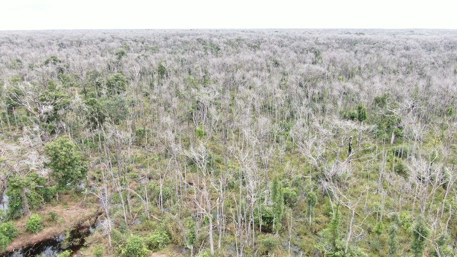 MP recorre ao TJ para garantir prisão preventiva de pecuarista Foto31009