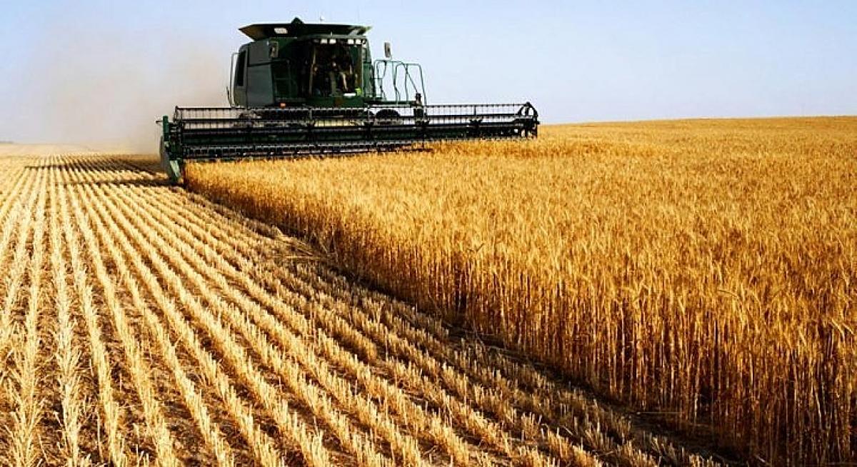 Assembleia aprova Fethab que beneficia entidades do agro Foto77386