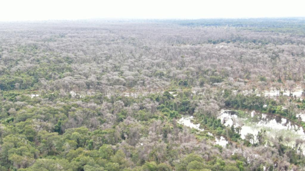 Juiz nega prisão de fazendeiro acusado de desmate químico no Pantanal Foto93728