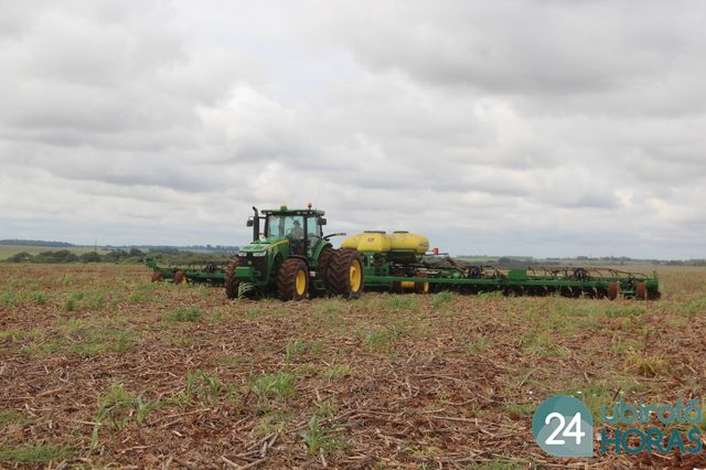 MT é o 2º estado do país que mais gerou empregos em junho Foto51588