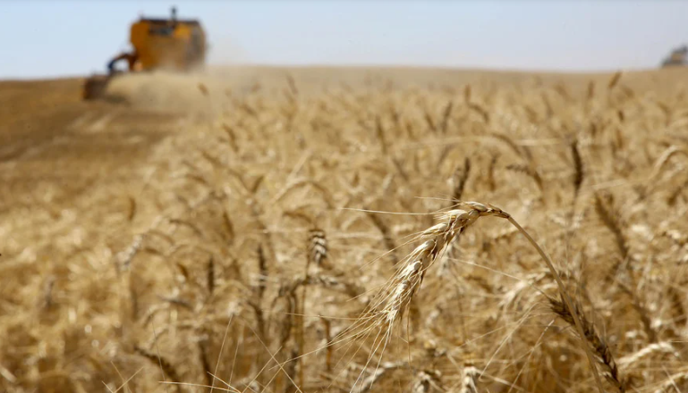 Enchente no Rio Grande do Sul atinge mais moinhos do que regiões produtoras Foto3289