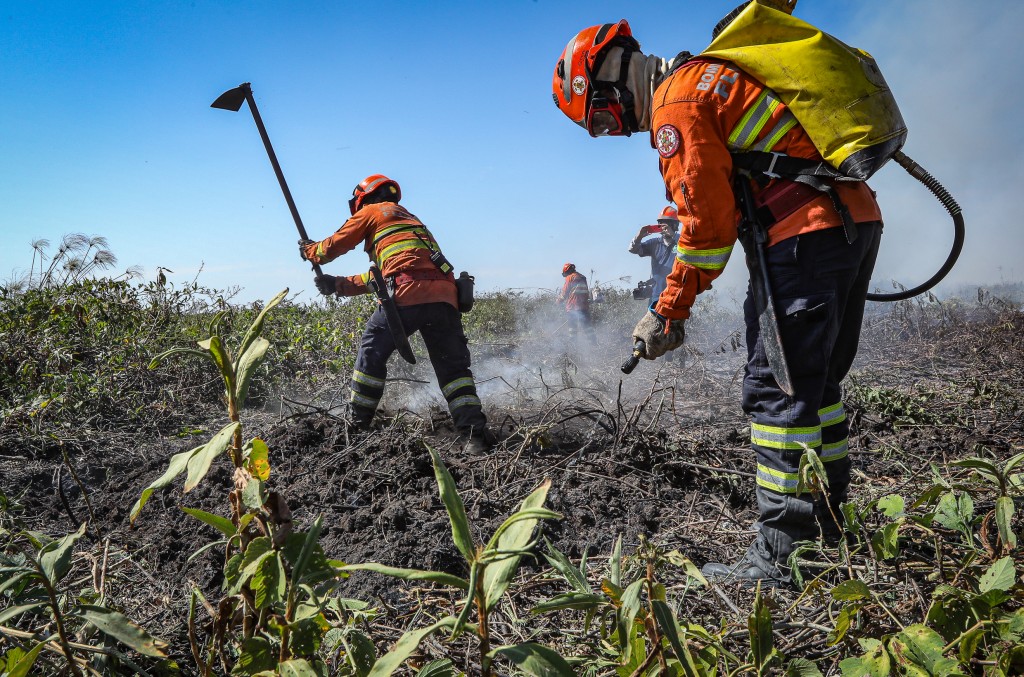 Bombeiros abrem processo seletivo para contratação de brigadistas Foto66162