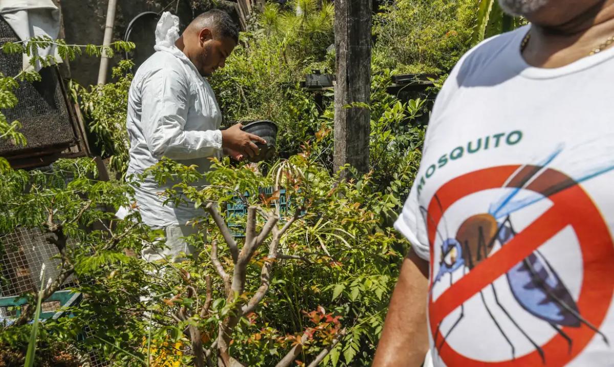 Casos de dengue "hemorrágica" crescem 256% em Mato Grosso Foto5936