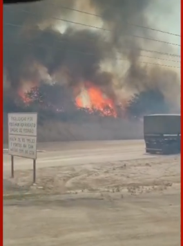 Incêndios atrapalham visibilidade de motoristas e trechos de BR são interditados Foto98645