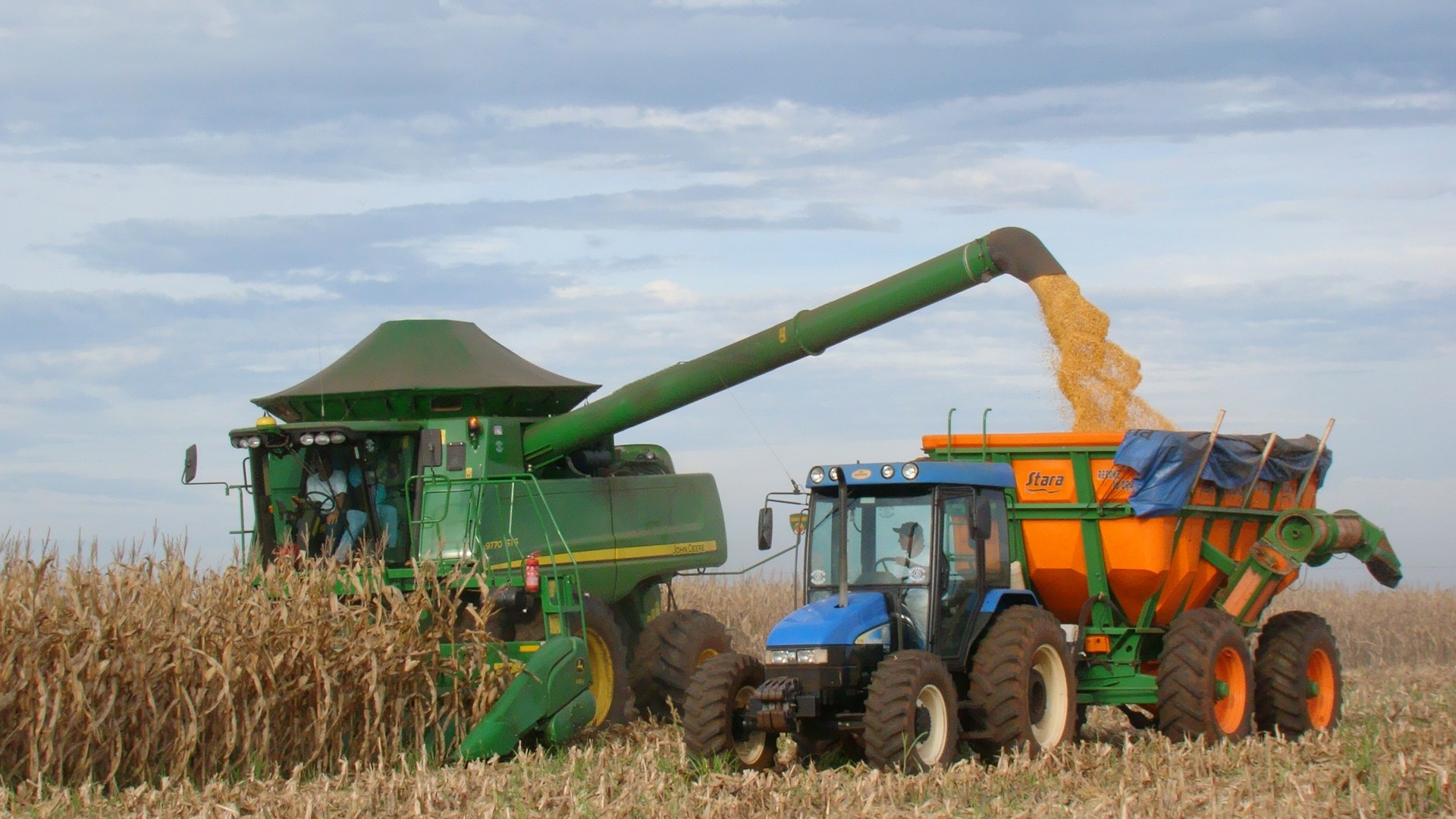 Renda da agropecuária cresce 5% com maior produção de milho Foto51205