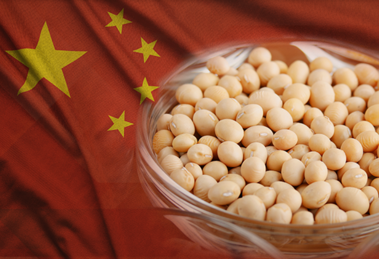 Aprosoja MT fortalece relações comerciais e sustentáveis com a China Foto34479