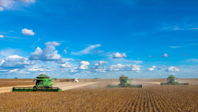 Quantas toneladas de grãos o Brasil produzirá em 2033/34? Foto42086