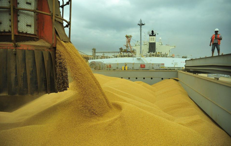 Anec reduz previsão de exportação de soja e milho do Brasil Foto86218