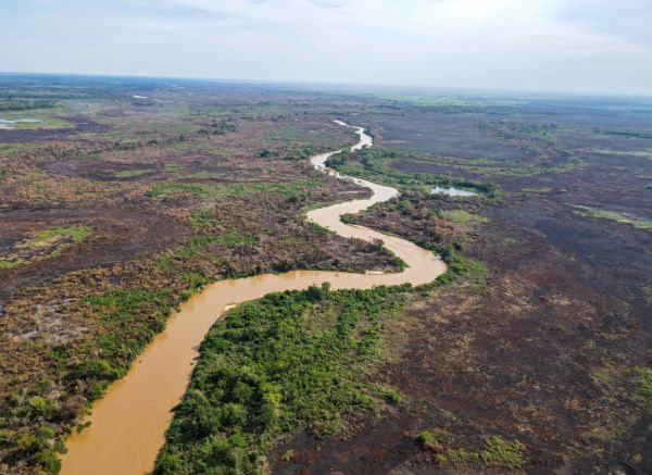 2024 foi o ano mais seco da história do bioma Pantanal Foto23559