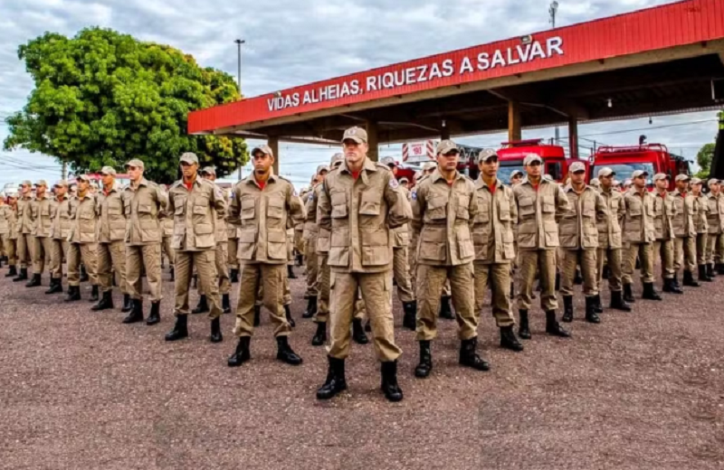 Foto87120