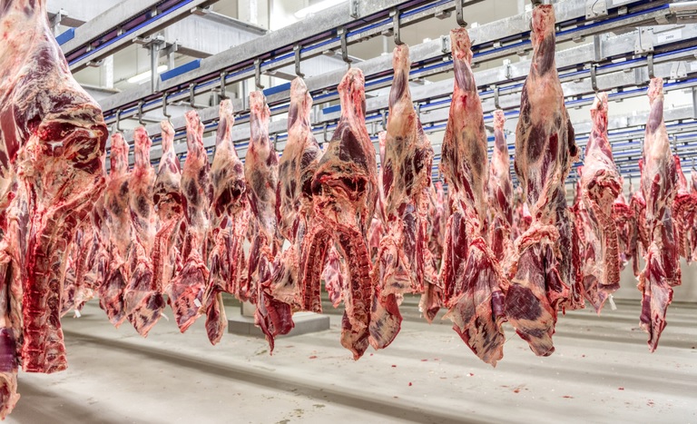 Alimentação deve seguir pressionada no início de 2025, por alimentos in natura Foto95264