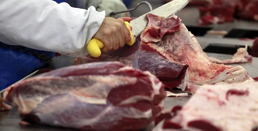 Empresas brasileiras de carne bovina não temem novas tarifas de Trump Foto56665