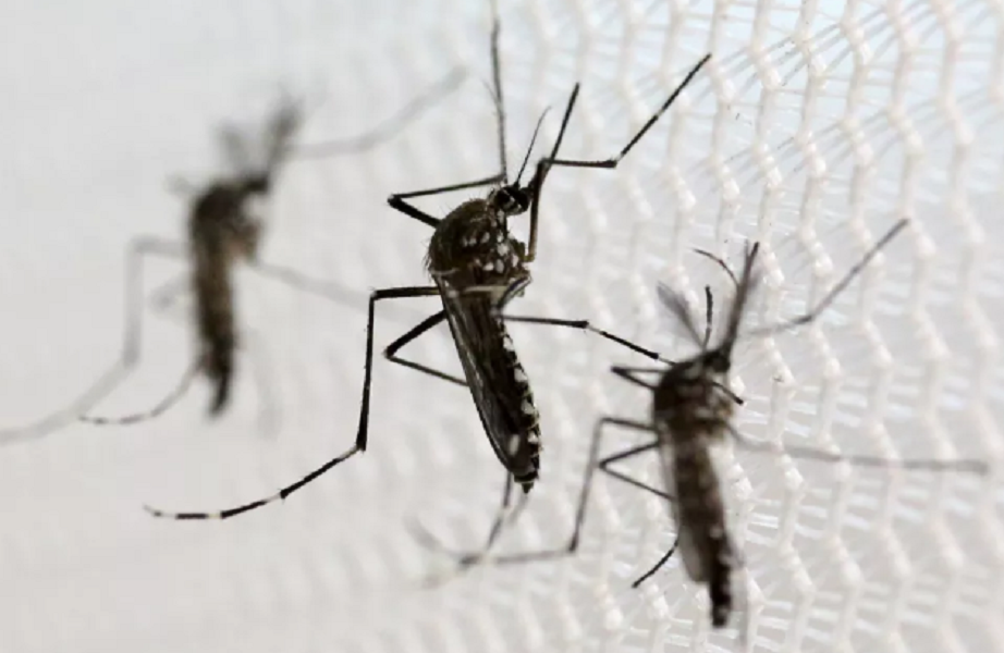 Dobra o número de mortes por chikungunya em menos de um mês em MT Foto67203