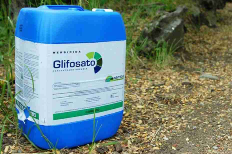 Nota sobre o andamento da ação ajuizada para proibir uso do glifosato Foto34248