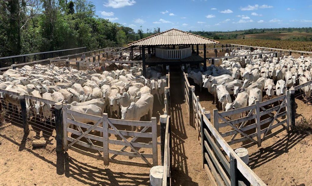 Mercado sinaliza recuperação com melhora nas vendas e na oferta Foto41523